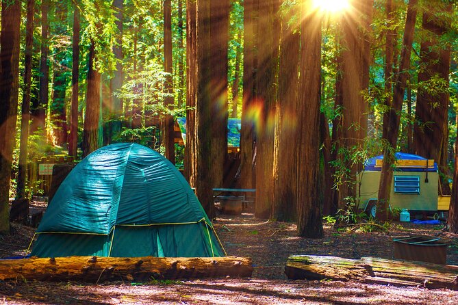Self Guided Driving Audio Tour of Redwood National and State Park - Trillium Falls and Simpson-Reed Trail