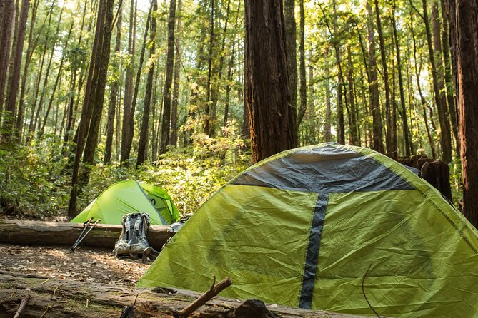 Self Guided Driving Audio Tour of Redwood National and State Park - Bald Hills Road and the higher views