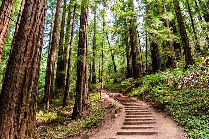 Self Guided Driving Audio Tour of Redwood National and State Park - Starting near Smith River
