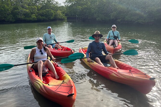 Self Guided EcoTour: Clear/Standard Kayaks -Bonita Springs - Choosing between a clear and standard kayak