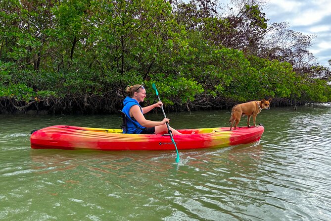 Self Guided EcoTour: Clear/Standard Kayaks -Bonita Springs - What two hours feels like on the water