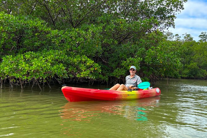 Self Guided EcoTour: Clear/Standard Kayaks -Bonita Springs - Check-in with Mike and the right kayak