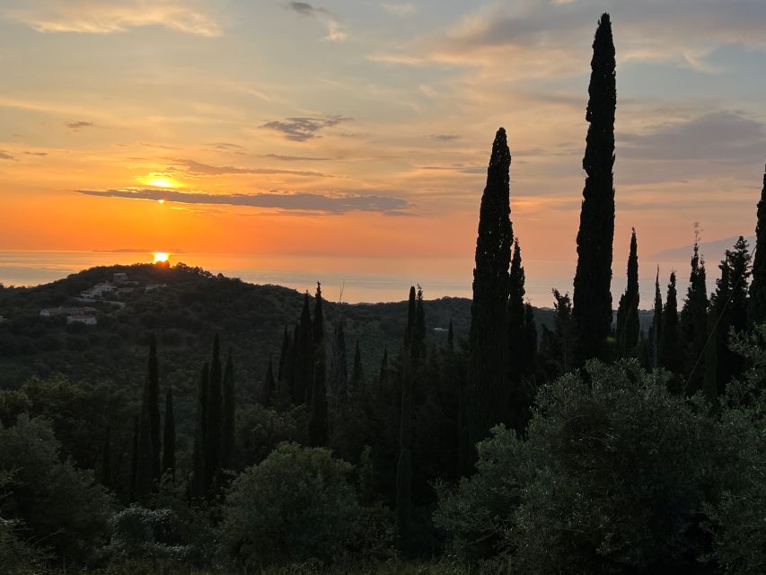 Self-guided Electric Fat Bike Tours and Rentals North Corfu - Choosing between the coast, groves, and mountains