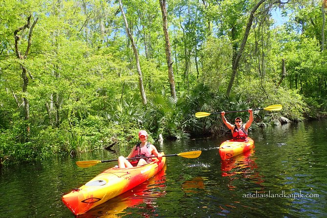 Self Guided Family Friendly Kayak Rental Experience Old Florida - Key Points Before You Paddle