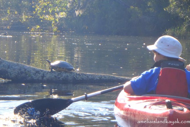 Self Guided Family Friendly Kayak Rental Experience Old Florida - Why This Creek Feels Different From a Beach Day