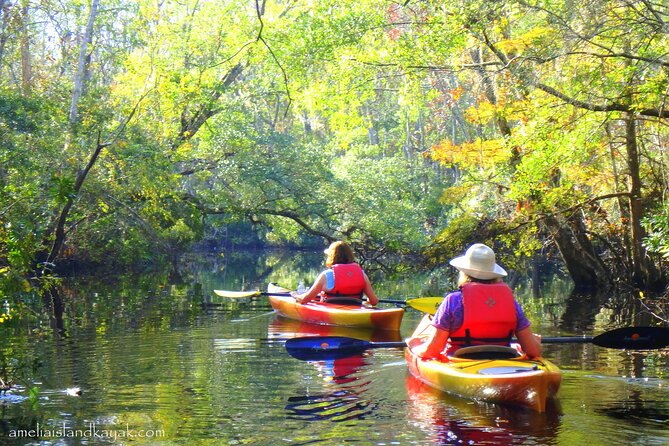 Self Guided Family Friendly Kayak Rental Experience Old Florida - Wildlife, Plants, and the Blackwater View