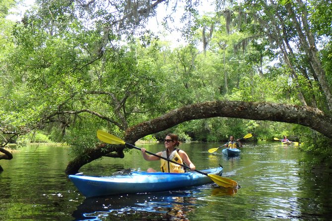 Self Guided Family Friendly Kayak Rental Experience Old Florida - Signing In and Getting on the Water