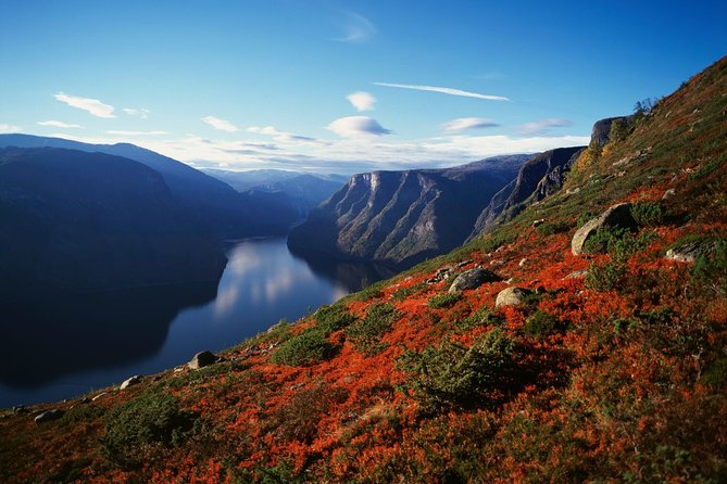 Self-Guided Full Day Round-trip From Bergen - Why this route packs so much into one day