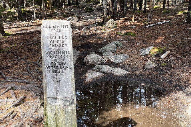 Self Guided GPS Audio Driving Tour Acadia NP From Hulls Cove VC - Key points to know before you go