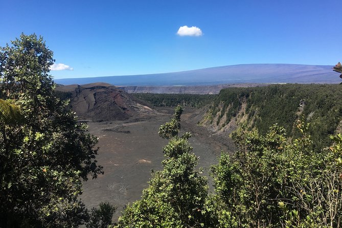 Self-Guided GPS Audio E-Bike Tour Hawaii Volcanoes National Park - The ride toward Kīlauea’s crater rim