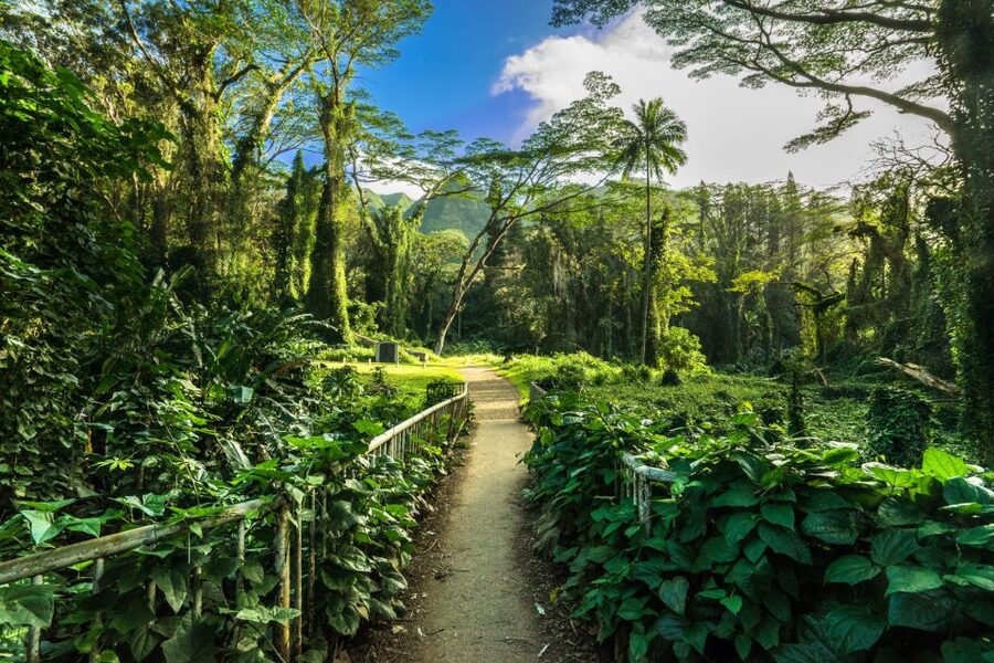 Self Guided Hike Trail to Nature Walk & Waterfall - Key points at a glance
