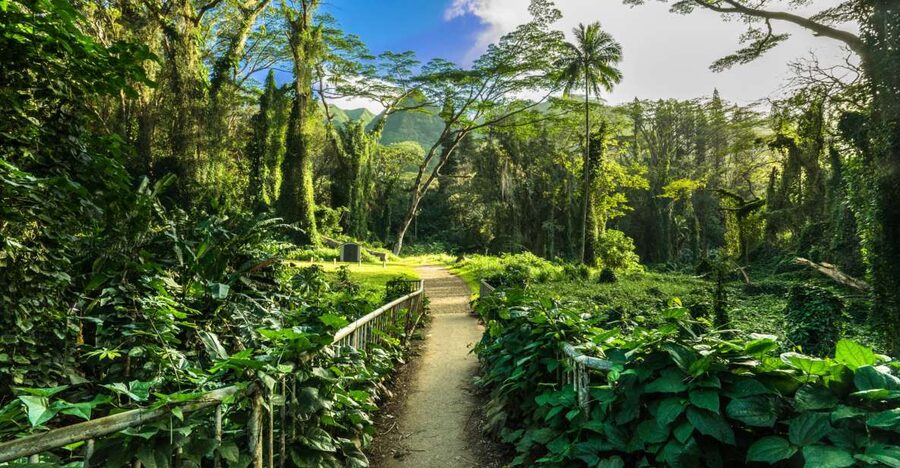 Self Guided Hike Trail to Nature Walk & Waterfall - Walking the trail to a 150-foot waterfall