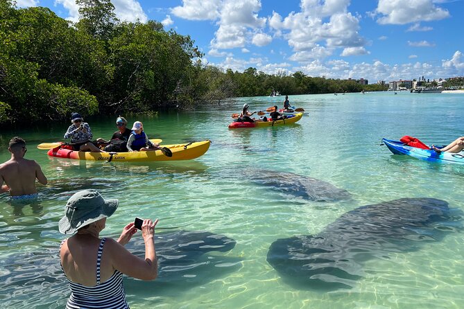 Self-Guided Island Tour: CLEAR/Standard Kayak, SUP-Bonita Springs - Key points to know before you book
