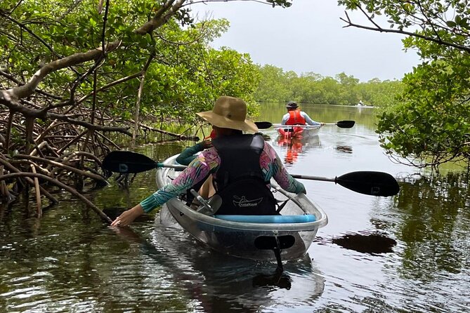 Self-Guided Island Tour: CLEAR/Standard Kayak, SUP-Bonita Springs - Starting at Big Hickory Island