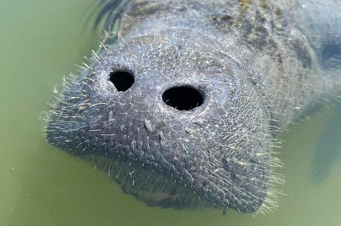 Self-Guided Kayaking Manatee and Dolphin Tour - Getting wet, staying comfortable, and protecting your gear