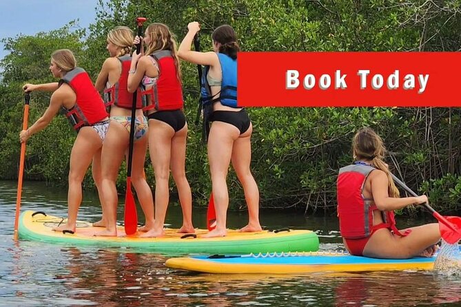 Self-Guided Kayaking Manatee and Dolphin Tour - What the three-hour paddle can look like