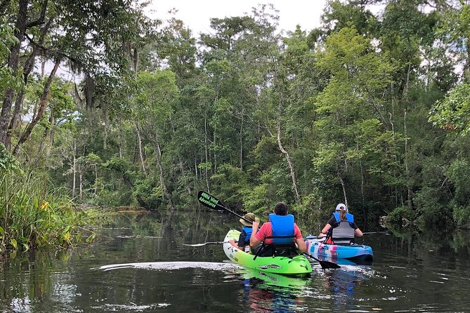 Self-Guided Kayaking: Real Florida Adventure - A quiet start near Amelia Island