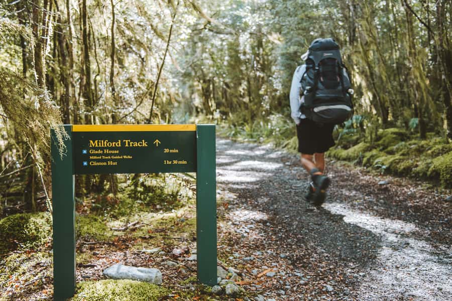 Self-Guided Milford Track Day Walk from Lake Te Anau - Walking from Glade Wharf to Clinton Hut