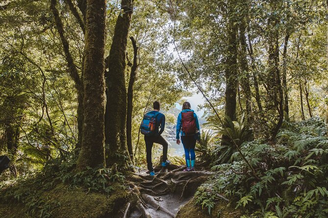 Self-Guided Milford Track Day Walk - Milford Sound - How the boat return affects your day