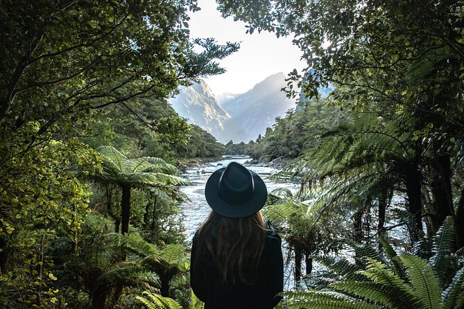 Self-Guided Milford Track Day Walk - Milford Sound - Is $46.54 good value?