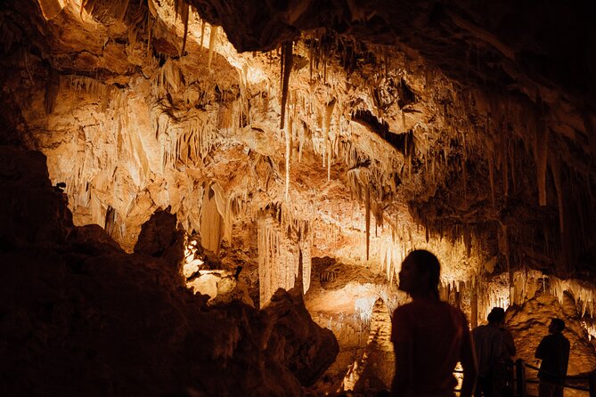 Self-Guided Ngilgi Cave Ancient Lands Experience - The Ancient Lands Experience sets the scene