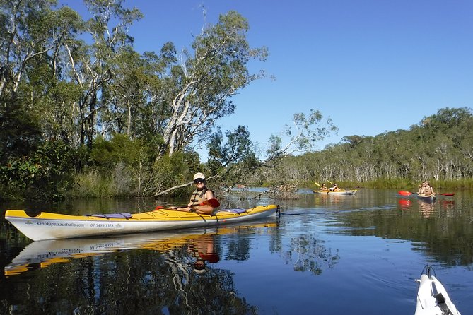 Self-Guided Noosa Everglades Kayak Tour - Why the Noosa Everglades Work So Well by Kayak