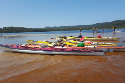 Self-Guided Noosa Everglades Kayak Tour