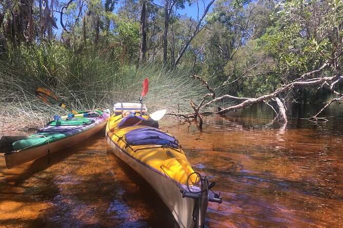 Self-Guided Noosa Everglades Kayak Tour - Who Will Enjoy This Paddle Most