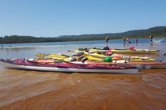 Self-Guided Noosa Everglades Kayak Tour - Choosing Between Kin Kin Creek, Fig Tree Lake, and Harry’s Hut
