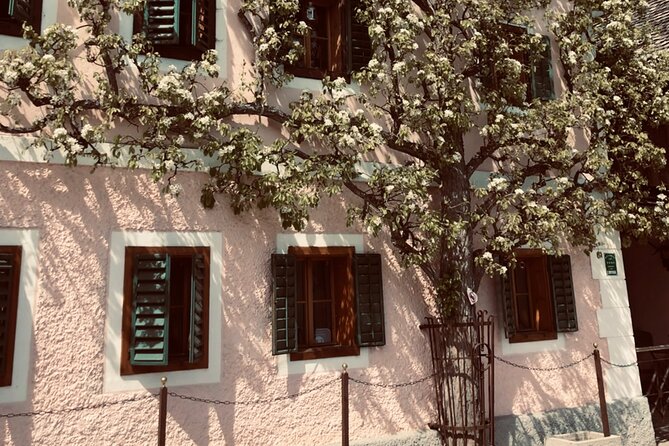 Self-Guided Private Tour of Hallstatt. Best photo-points, panoramic views, cafes - The Dachstein views and the protected cultural setting