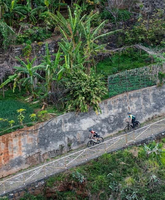Self-Guided Road E-Bike Tour Ponta São Lourenço to Funchal - From Teleférico Funchal-Monte to Madeira’s eastern tip