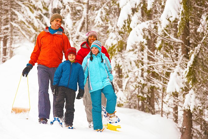 Self-Guided Snow Shoe Tours - Starting at Country Boy Mine on French Gulch Road