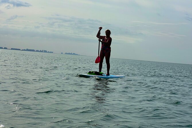Self Guided Standup Paddle Board EcoTour -Bonita Springs - What you should know before booking