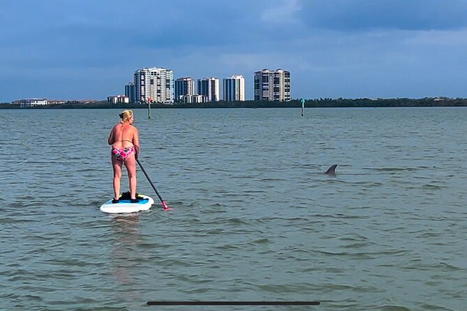 Self Guided Standup Paddle Board EcoTour -Bonita Springs - A route shaped by the day