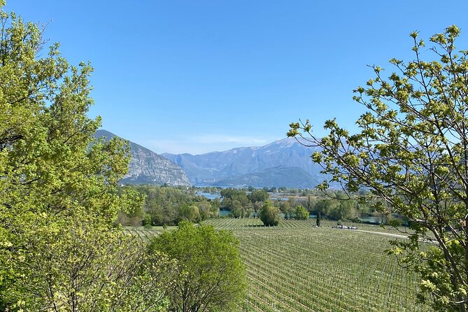 Self-guided Wine tour in Franciacorta, Full-Day Experience with Lunch - Passirano around 3:00 PM: meet the small producer