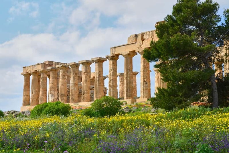 Selinunte: Archeological Park Entry Ticket & App Audioguide - Walking among Selinunte’s temples