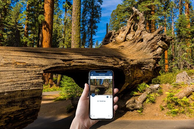 Sequoia & Kings Canyon NP Self-Guided Driving Audio Tour - What the app does well on remote roads