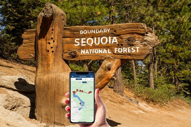 Sequoia & Kings Canyon NP Self-Guided Driving Audio Tour - Giant Forest Museum and the road to Moro Rock