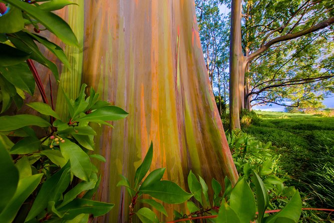 Shaka Guide Maui "Classic" Road to Hana Audio Driving Tour - Hana, red sand, and the southern coast
