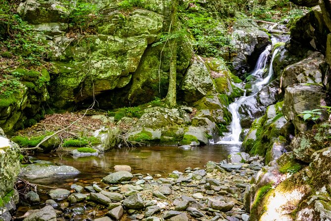 Shenandoah National Park Self-Guided Driving Audio Tour - The longer hikes require a careful choice