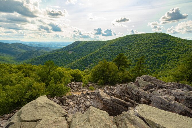 Shenandoah National Park Self-Guided Driving Audio Tour - Birdwatching, mountains, and Civil War country