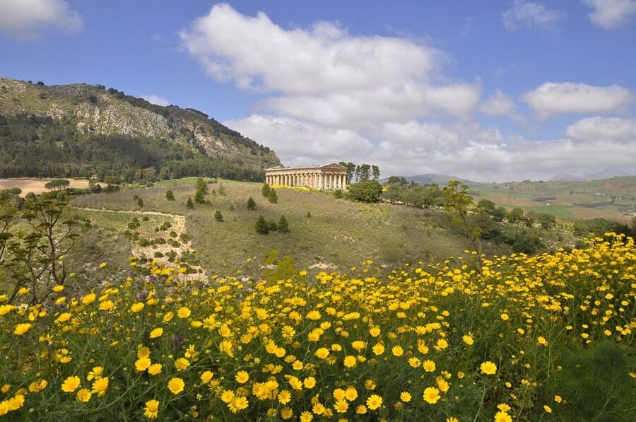 Sicily: Segesta Ticket, Shuttle Service & City Audio Tour - How the Three-Hour Visit Works