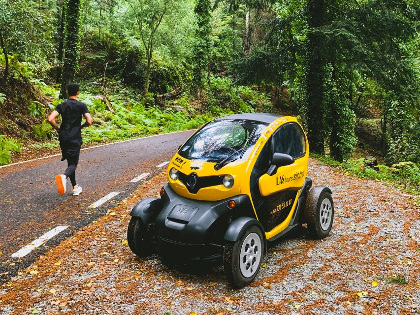 Sintra: 4 MAJOR Monuments Tour E-Car com GPS Audio Guide - Monserrate Palace and its exotic park
