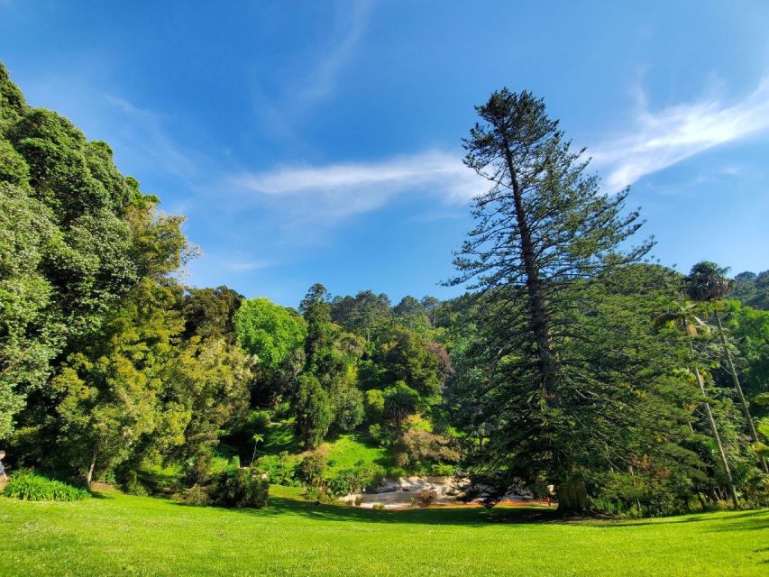 Sintra: Self-Driven Trip with Route-Planning Support - Timing, comfort, and practical limits