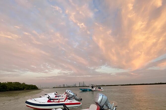 Small-Group Self-Drive Speedboat Tour in Yas Island Mangroves - Heritage Island adds an unusual change of scene