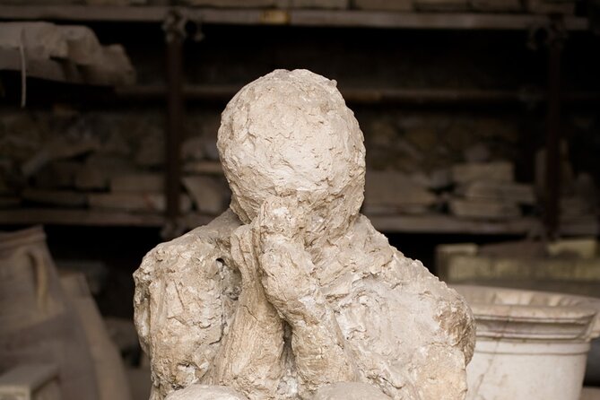 Sorrento & Pompeii Guided Day Trip from Rome with Optional Pickup - Who should book this day trip?