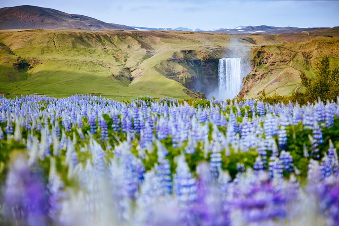 South Coast Iceland from Reykjavik with Guide & Touchscreen Audio - Reynisfjara, Iceland’s dramatic black beach