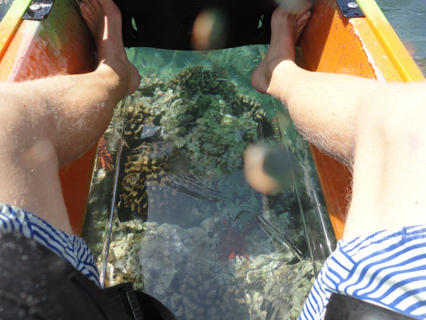 South Maui: Self Guided Clear Bottom Kayak Tour - Booking details that affect your decision
