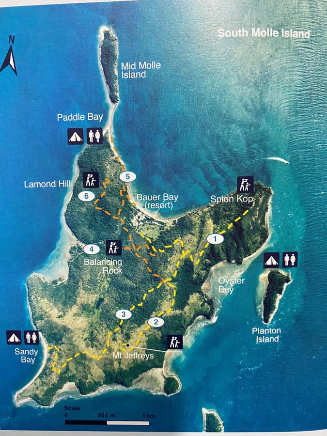 South Molle Island Self Guided Walking Tour - Why South Molle Island Makes a Fine Half-Day Escape