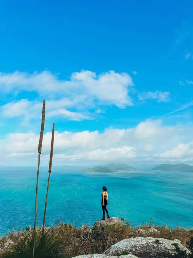 South Molle Island Self Guided Walking Tour - A Simple Way to Connect With Ngaro Country